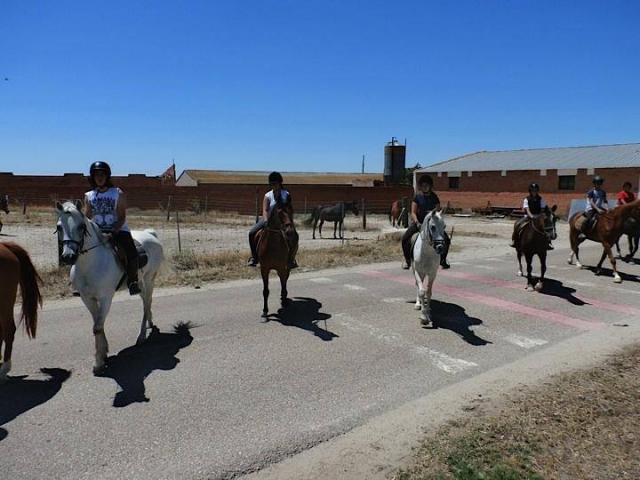 Salimos de excursion.jpg